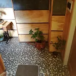 Departamento Gimar Choroy